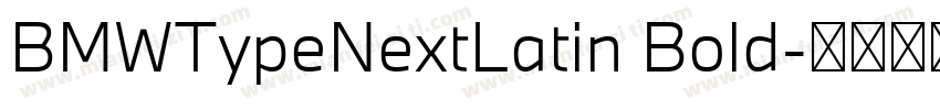 BMWTypeNextLatin Bold字体转换